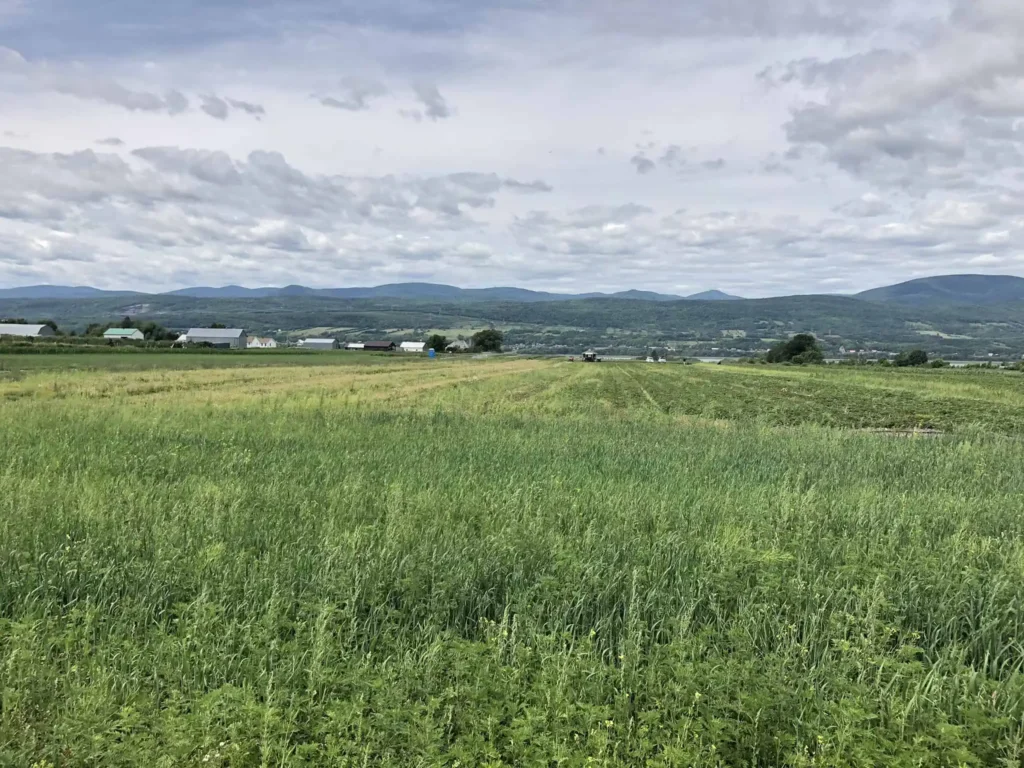 Ferme Guillaume Létourneau