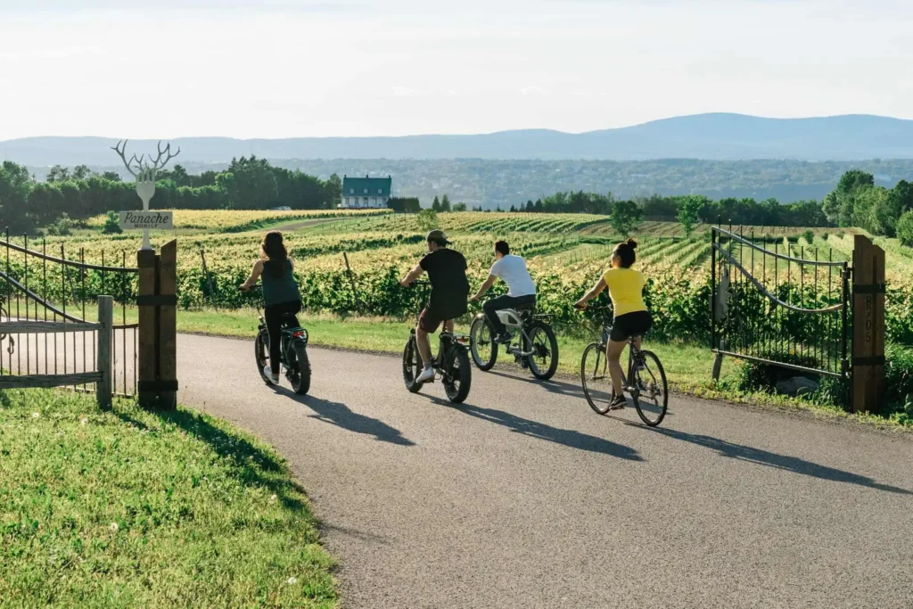 La beauté des circuits à vélo et de l’agrotourisme dans la grande région de Québec