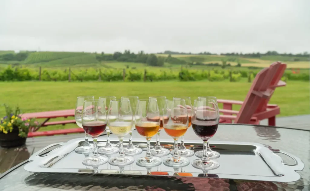 Domaine l’Ange Gardien Crédit : Jennifer Doré Dallas