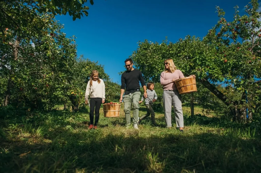 Ferme Comte de Roussy