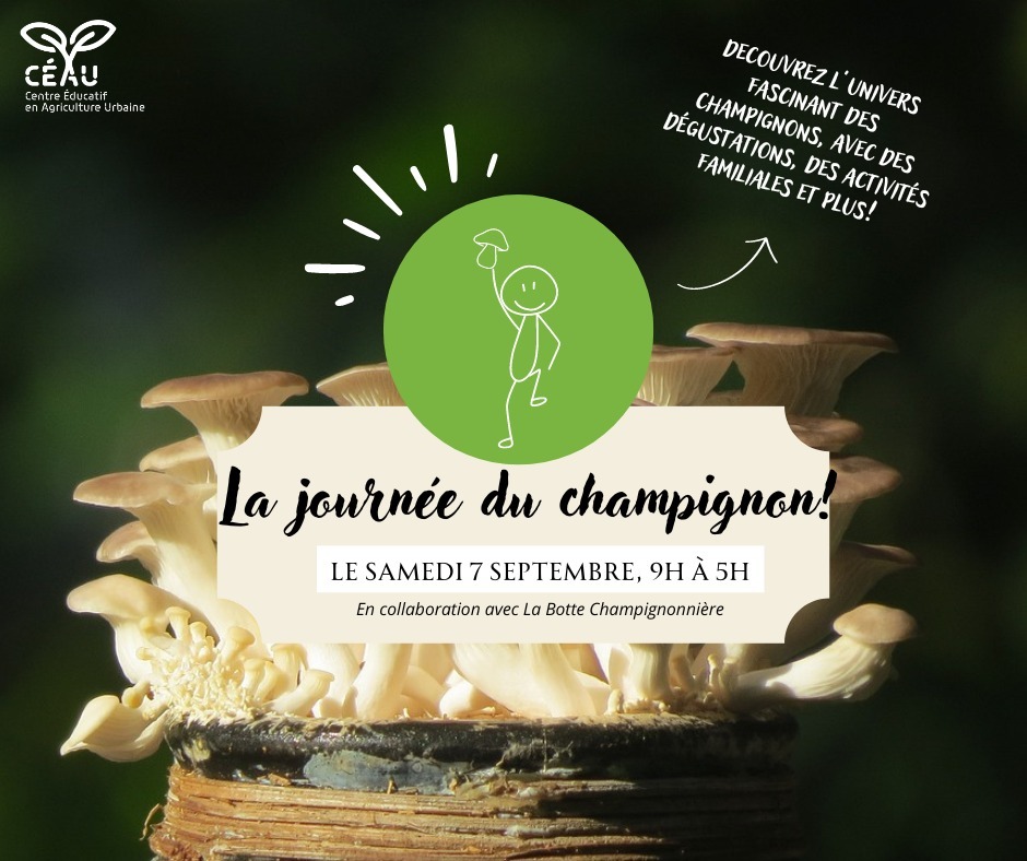 Journée champignon