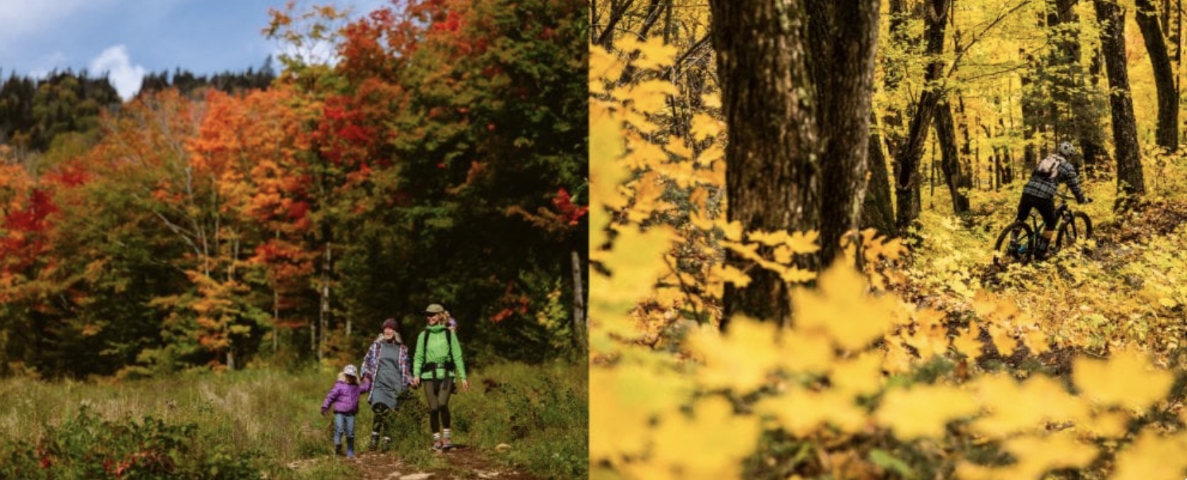 168f8be9 fc65 45a7 b20e 02e07187e3dd