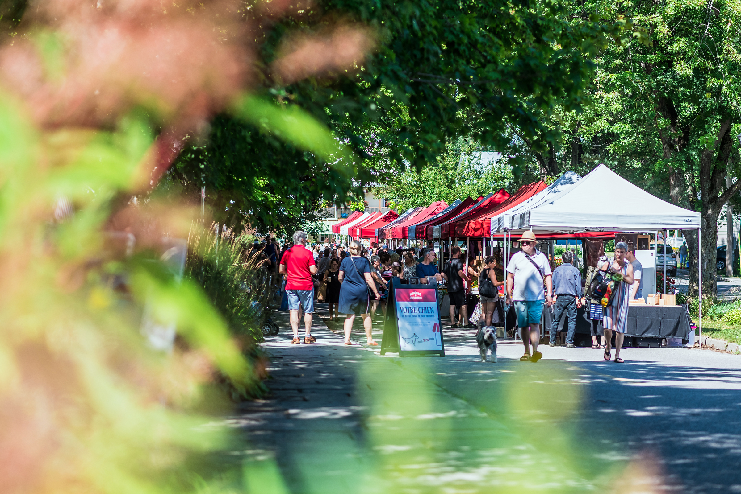 marché deschambault mrc portneuf