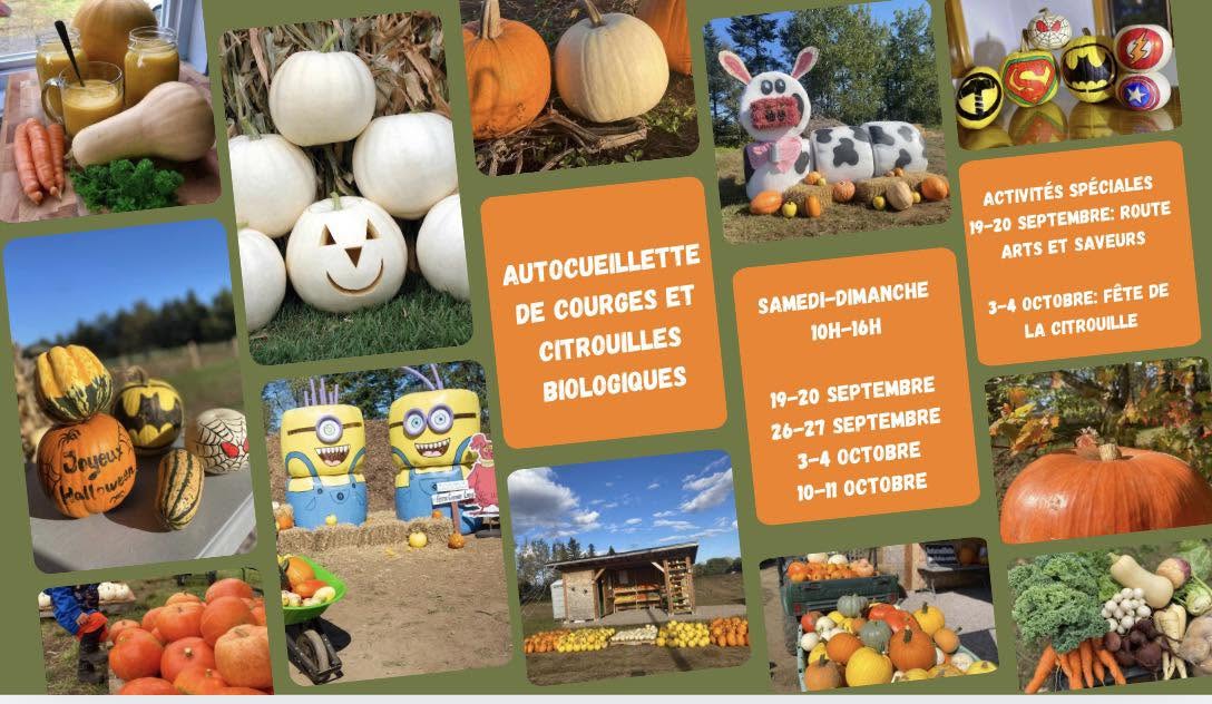 fête citrouilles mrc portneuf